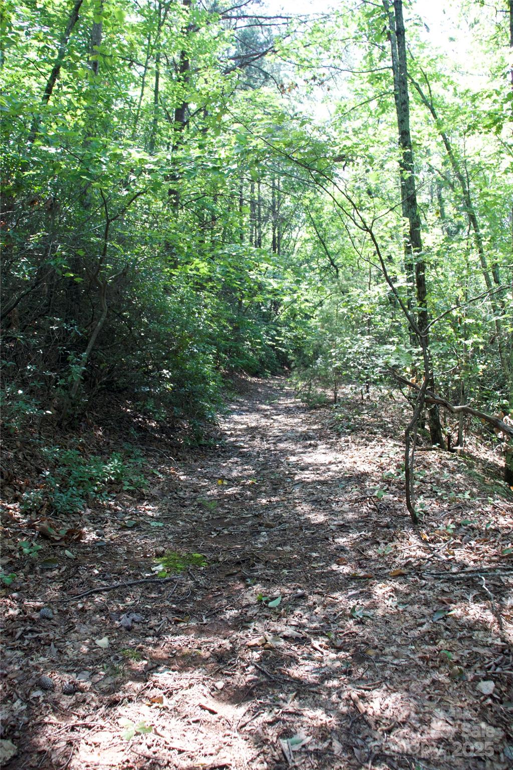 0 Mountain Lookout Drive Bostic NC 28018