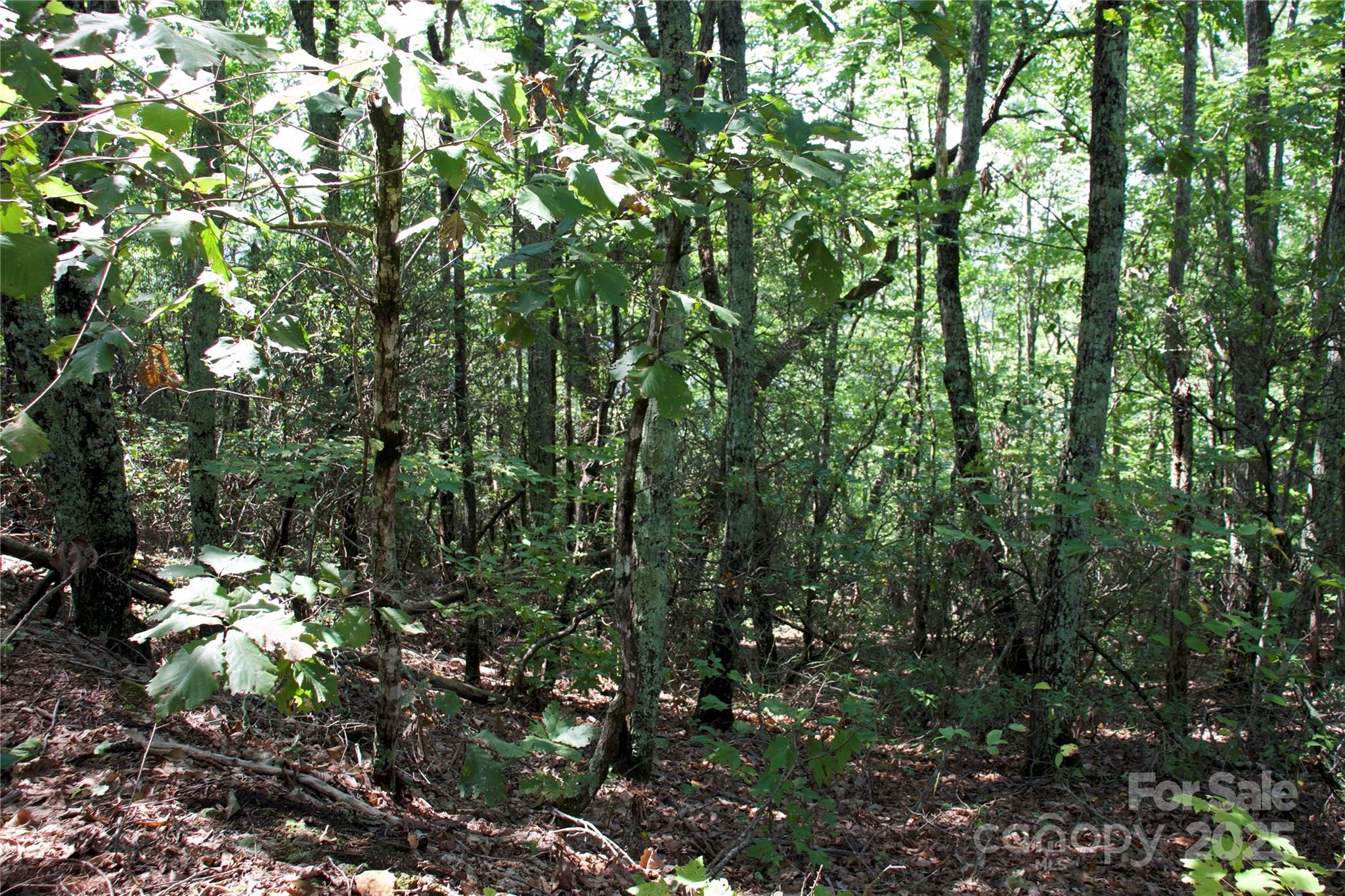 0 Mountain Lookout Drive Bostic NC 28018