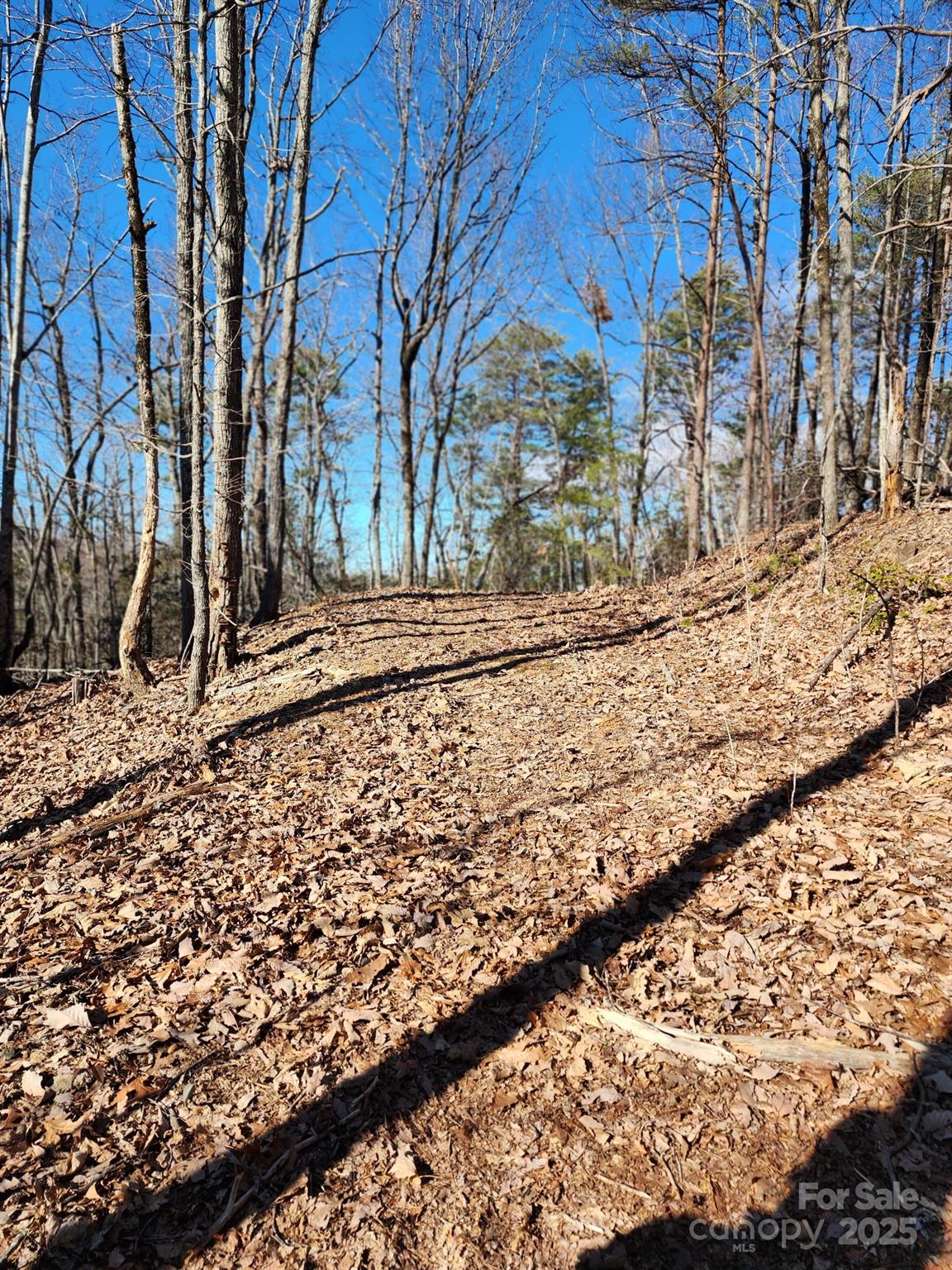 0 Mountain Lookout Drive Bostic NC 28018