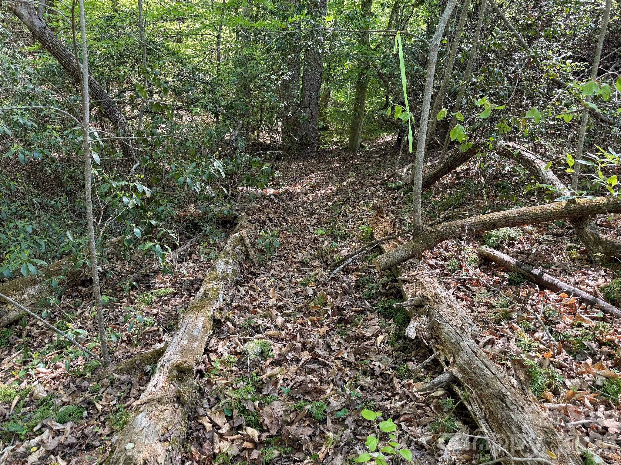000 Hugh Champion Road Tryon NC 28782