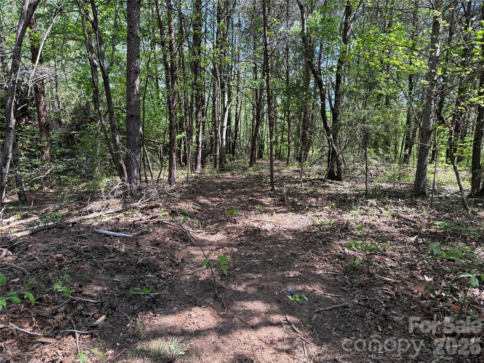 000 Hugh Champion Road Tryon NC 28782