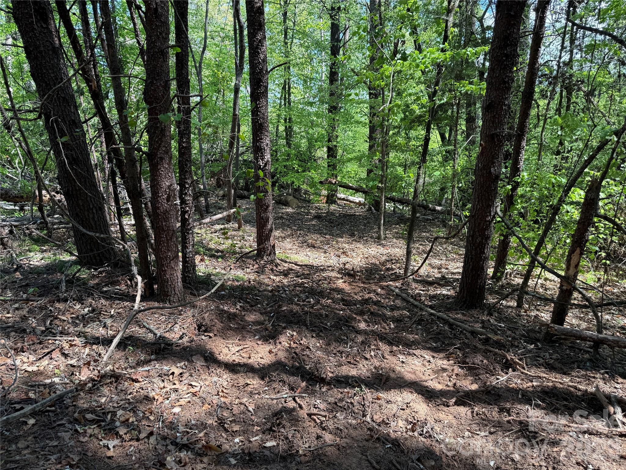 000 Hugh Champion Road Tryon NC 28782