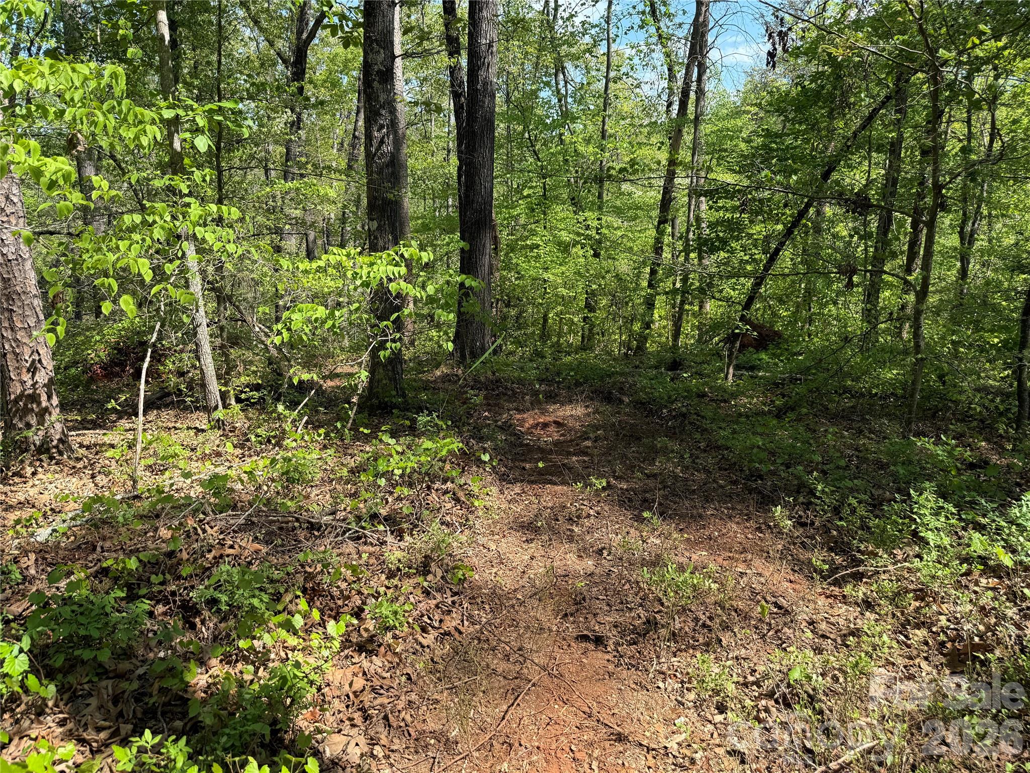 000 Hugh Champion Road Tryon NC 28782