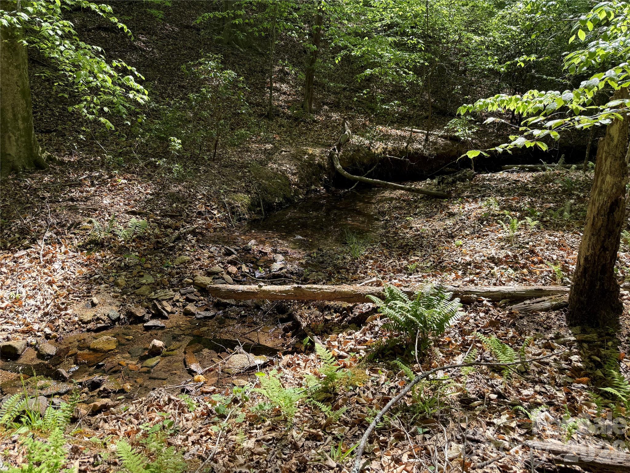 000 Hugh Champion Road Tryon NC 28782