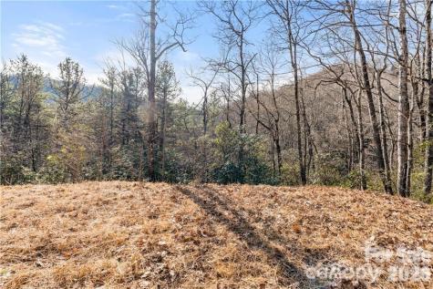 28 Trillium Lane Black Mountain NC 28711