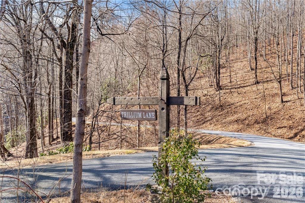 28 Trillium Lane Black Mountain NC 28711