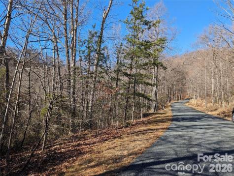 28 Trillium Lane Black Mountain NC 28711