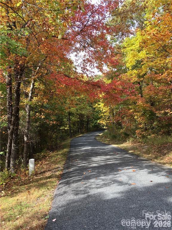 28 Trillium Lane Black Mountain NC 28711