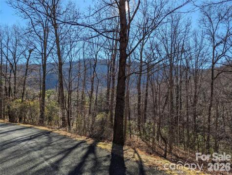 28 Trillium Lane Black Mountain NC 28711