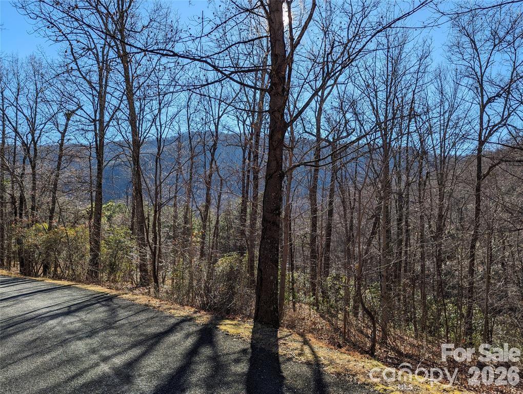 28 Trillium Lane Black Mountain NC 28711