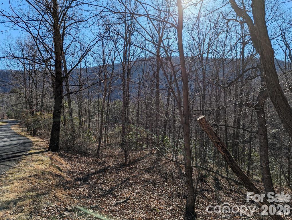 28 Trillium Lane Black Mountain NC 28711