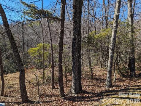28 Trillium Lane Black Mountain NC 28711