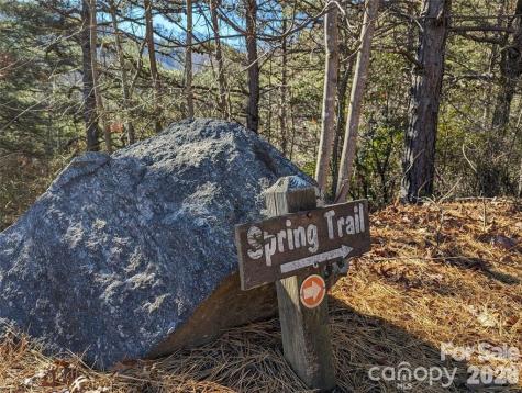 28 Trillium Lane Black Mountain NC 28711