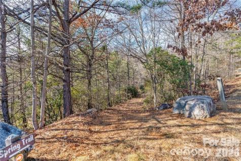 28 Trillium Lane Black Mountain NC 28711