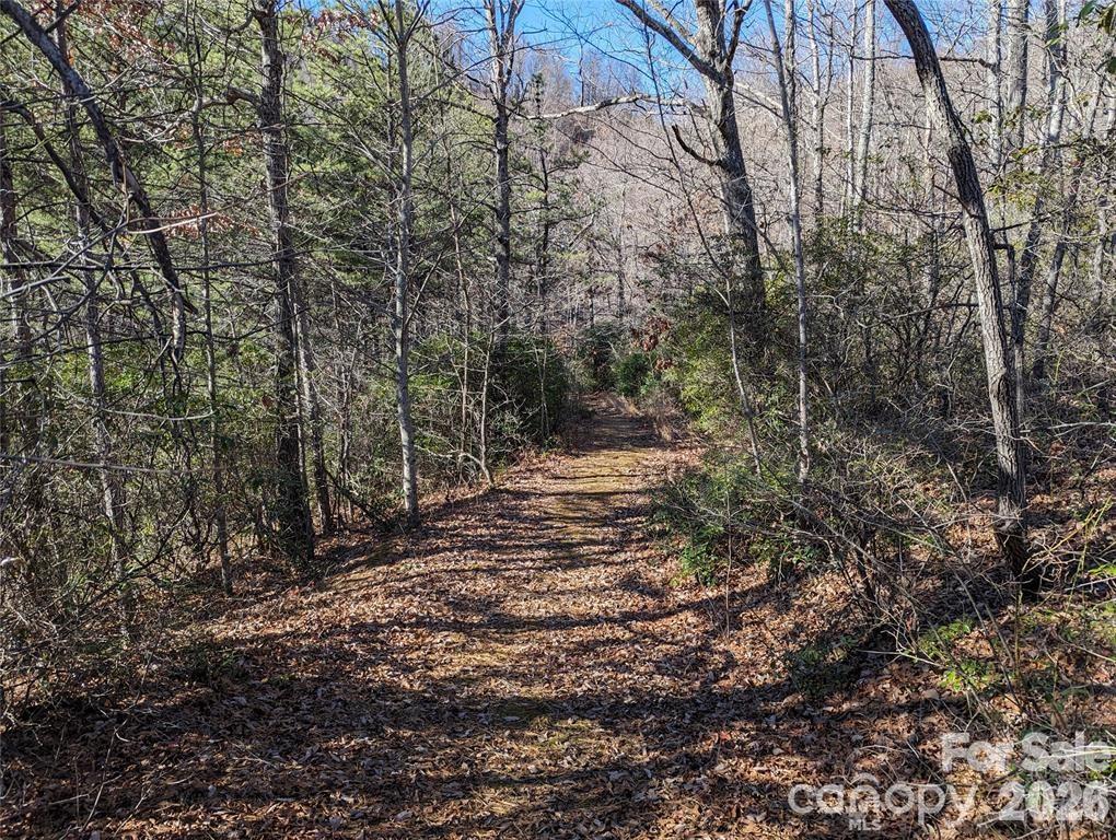 28 Trillium Lane Black Mountain NC 28711