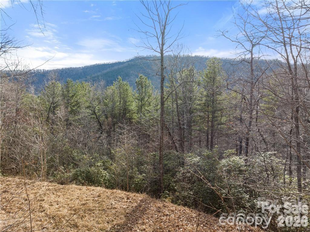 28 Trillium Lane Black Mountain NC 28711