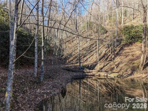 28 Trillium Lane Black Mountain NC 28711