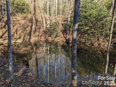 28 Trillium Lane Black Mountain NC 28711
