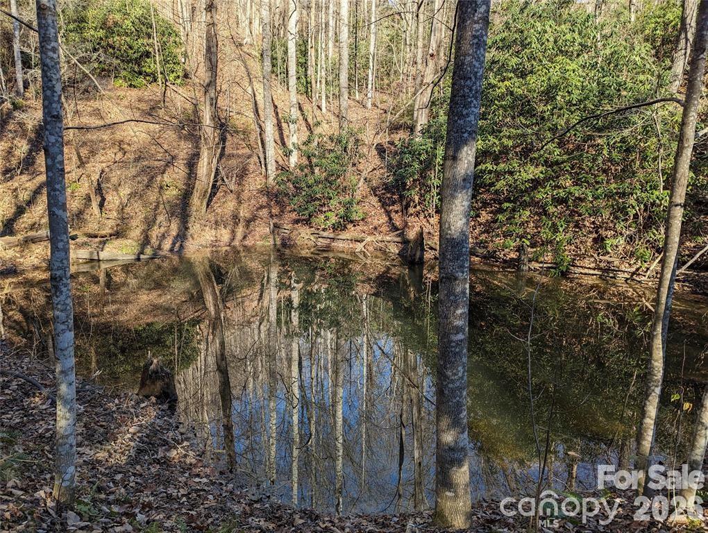 28 Trillium Lane Black Mountain NC 28711