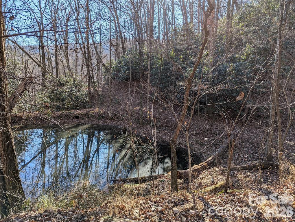 28 Trillium Lane Black Mountain NC 28711