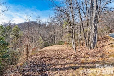 28 Trillium Lane Black Mountain NC 28711
