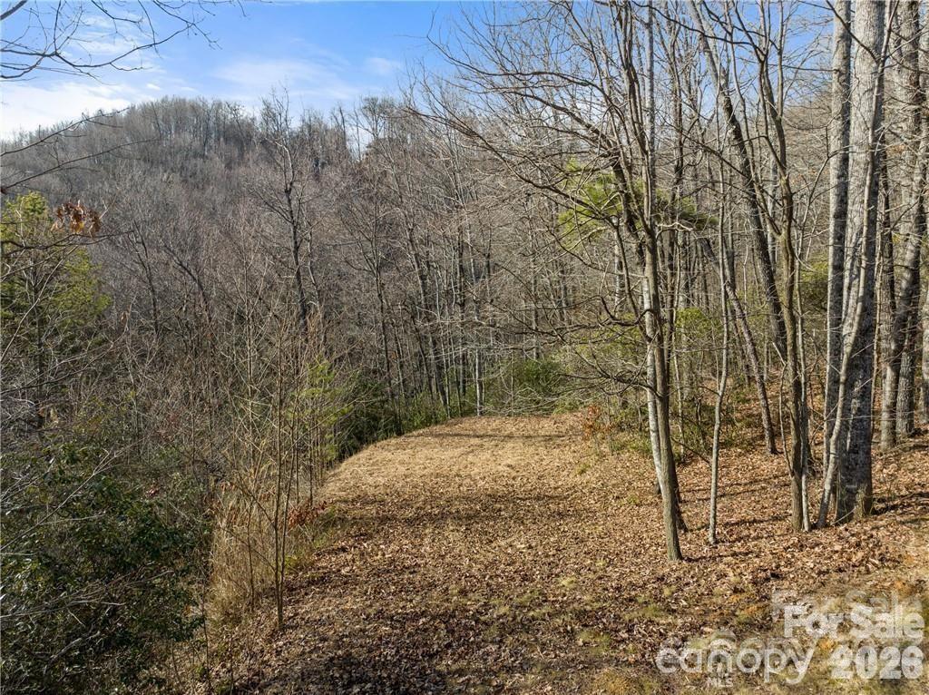28 Trillium Lane Black Mountain NC 28711