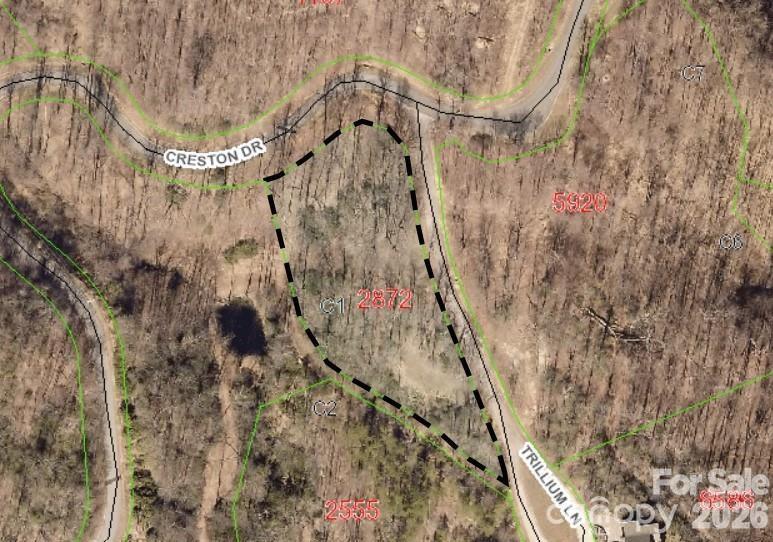 28 Trillium Lane Black Mountain NC 28711