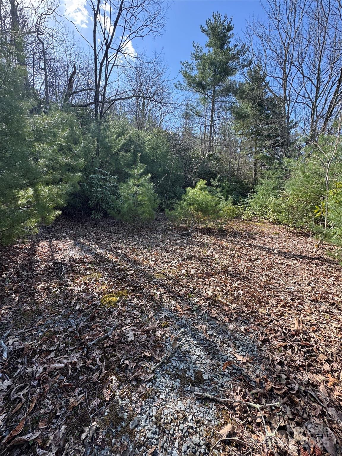 7797 Huskins Drive Newland NC 28657