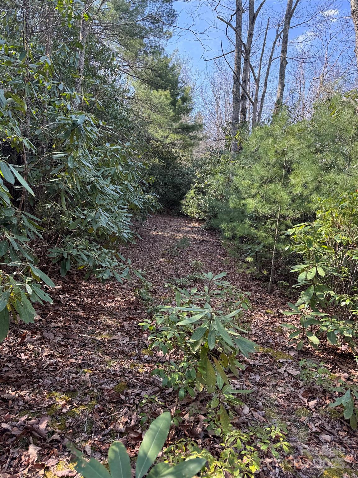 7797 Huskins Drive Newland NC 28657