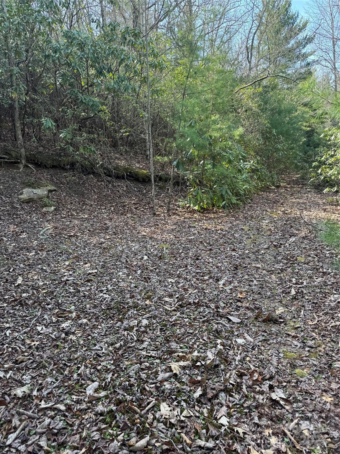7797 Huskins Drive Newland NC 28657