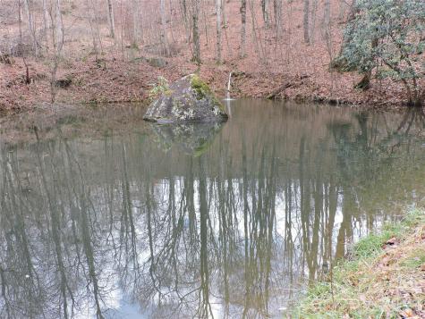 191 Bens Bend Bakersville NC 28705