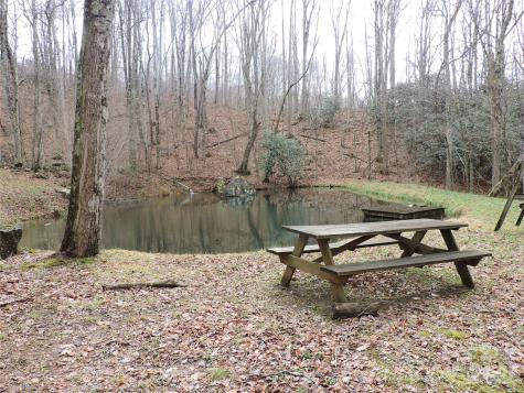191 Bens Bend Bakersville NC 28705
