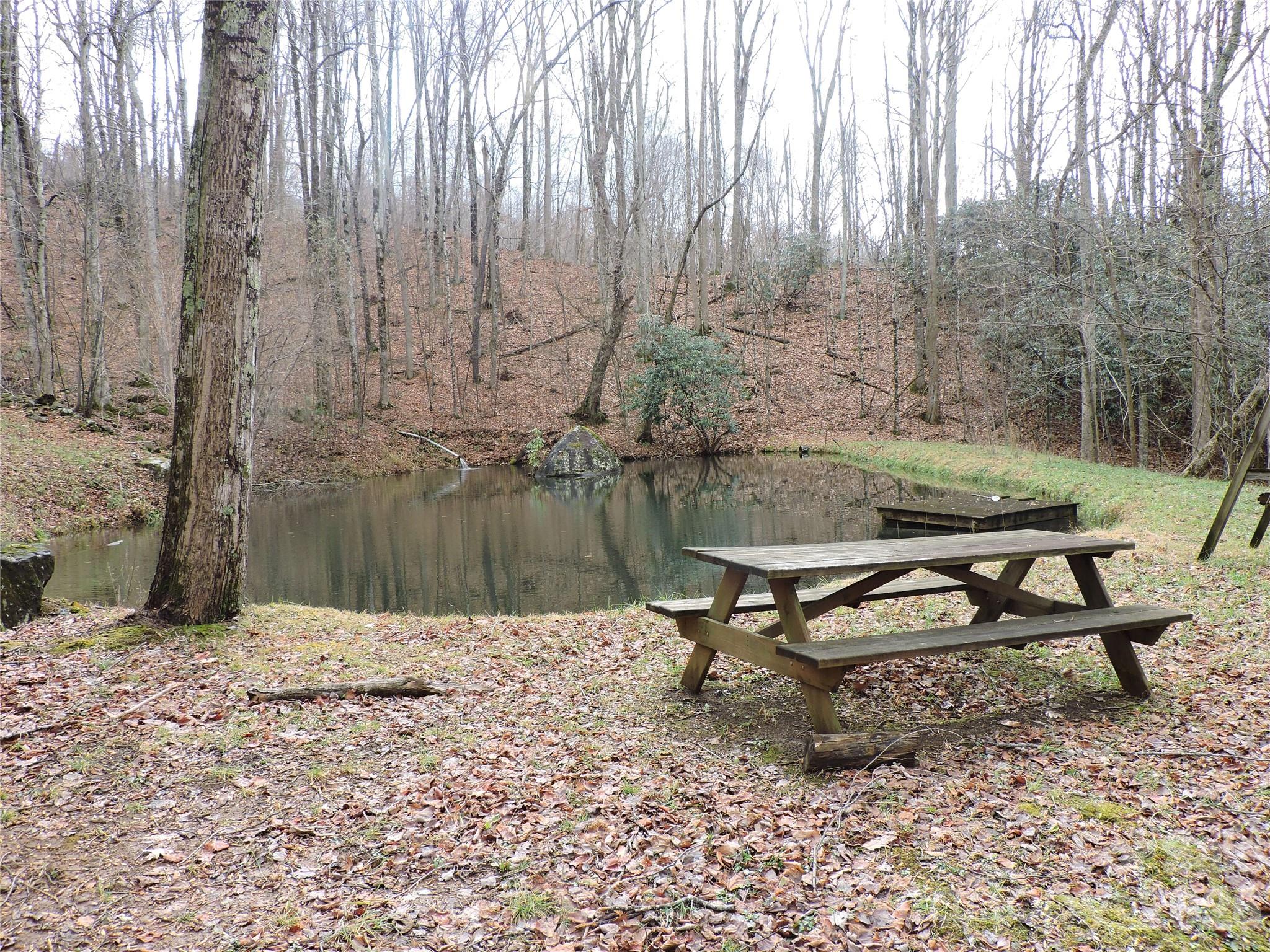 191 Bens Bend Bakersville NC 28705