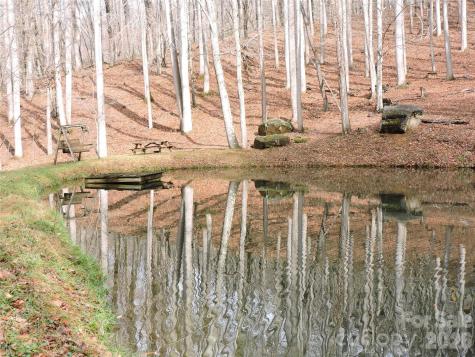 191 Bens Bend Bakersville NC 28705
