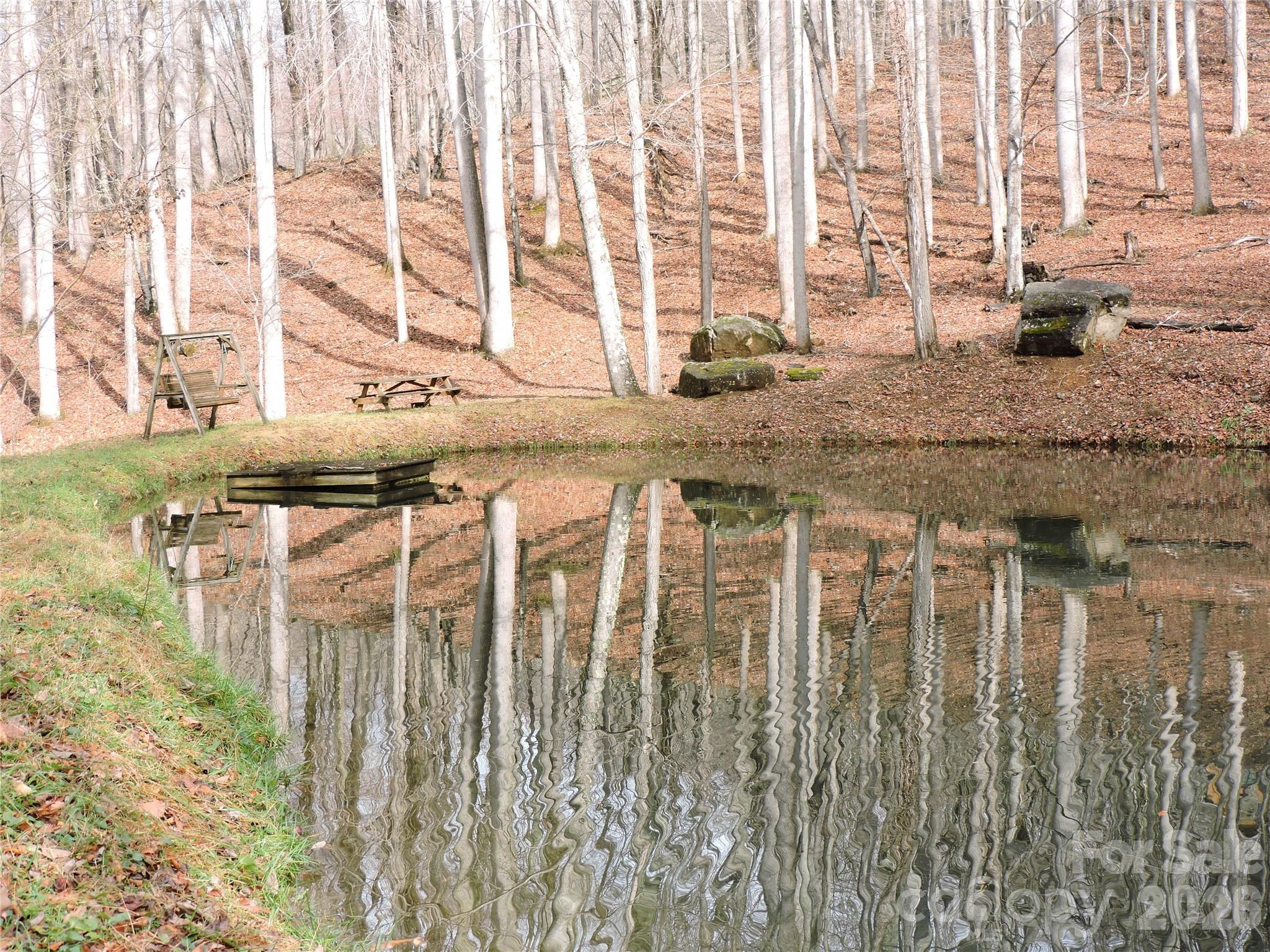 191 Bens Bend Bakersville NC 28705