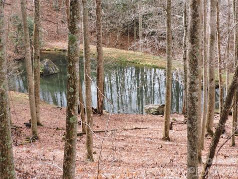 191 Bens Bend Bakersville NC 28705