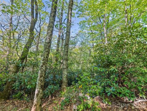 #19 Sleepy Hollow Lane Waynesville NC 28786