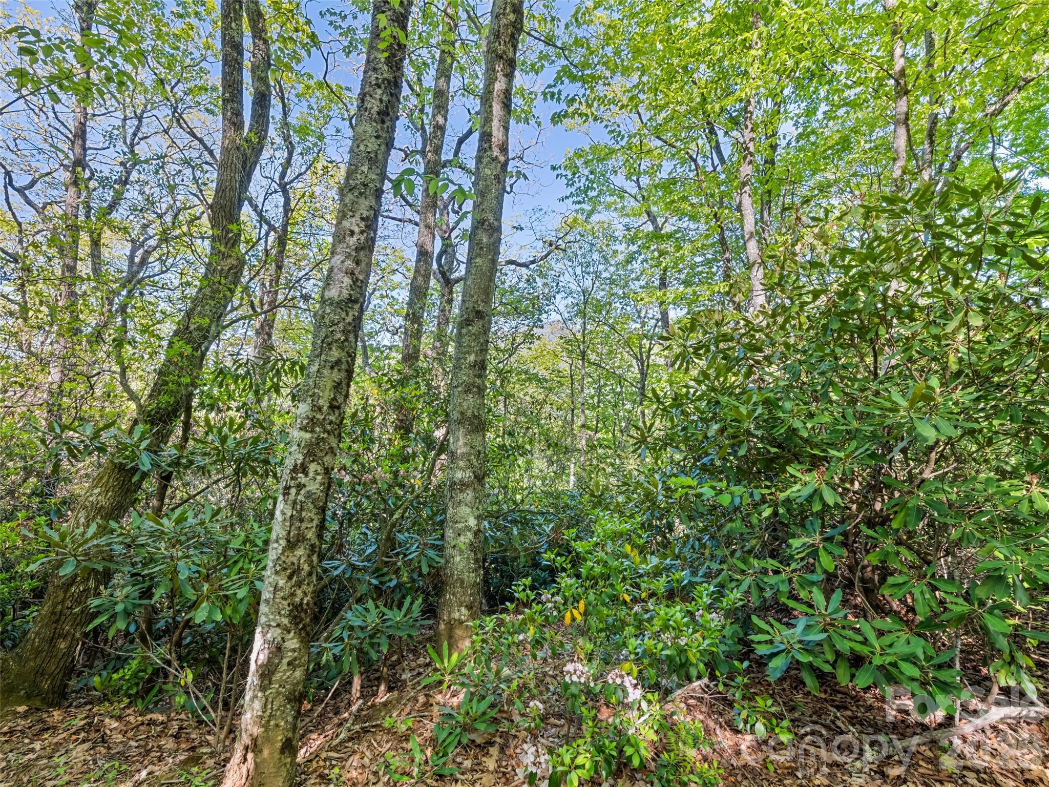 #19 Sleepy Hollow Lane Waynesville NC 28786