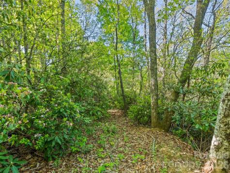 #19 Sleepy Hollow Lane Waynesville NC 28786