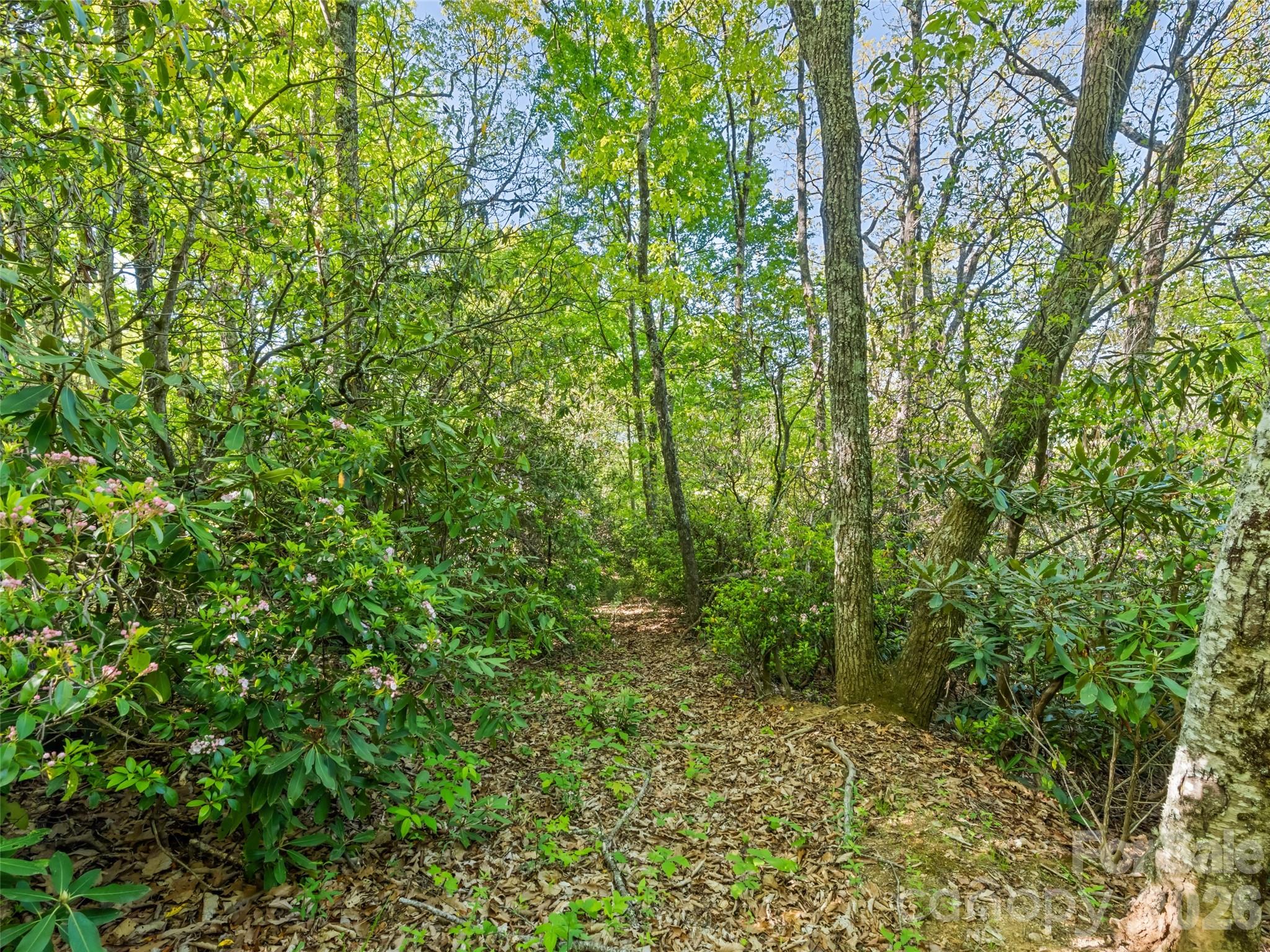 #19 Sleepy Hollow Lane Waynesville NC 28786