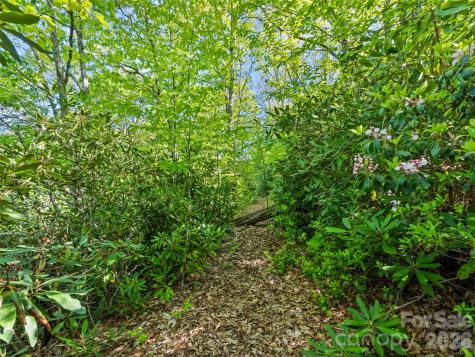 #19 Sleepy Hollow Lane Waynesville NC 28786