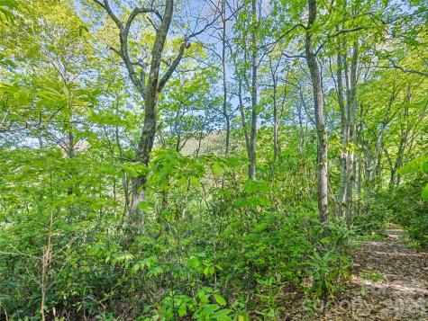 #19 Sleepy Hollow Lane Waynesville NC 28786