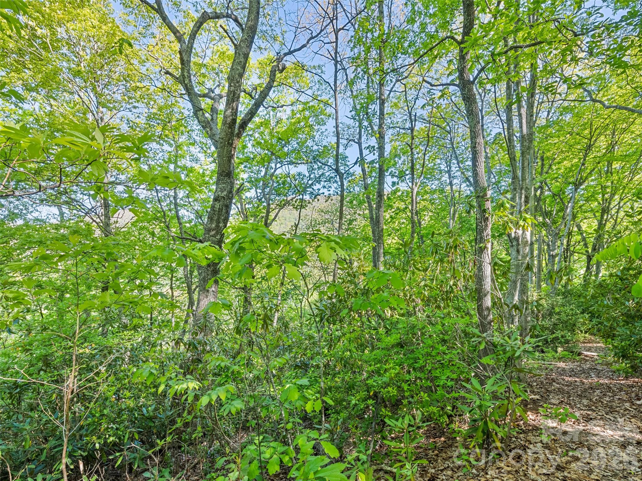 #19 Sleepy Hollow Lane Waynesville NC 28786