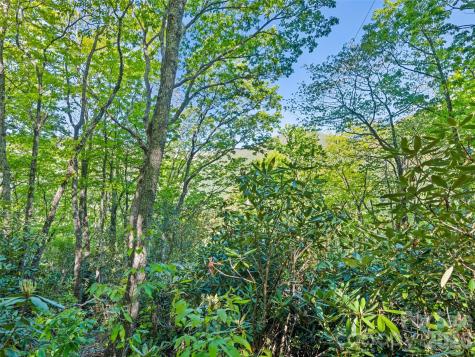 #19 Sleepy Hollow Lane Waynesville NC 28786