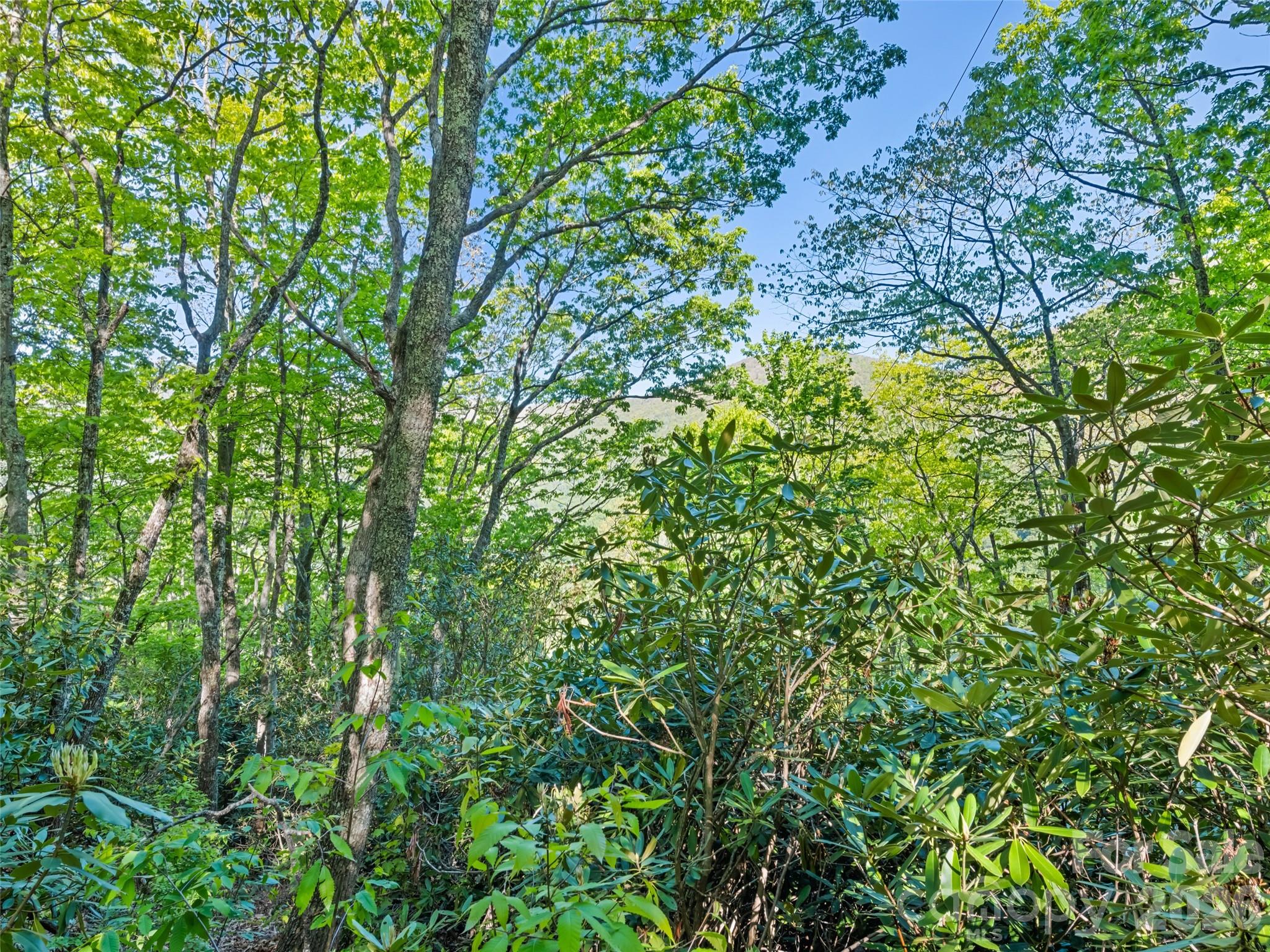 #19 Sleepy Hollow Lane Waynesville NC 28786