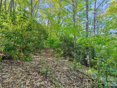 #19 Sleepy Hollow Lane Waynesville NC 28786
