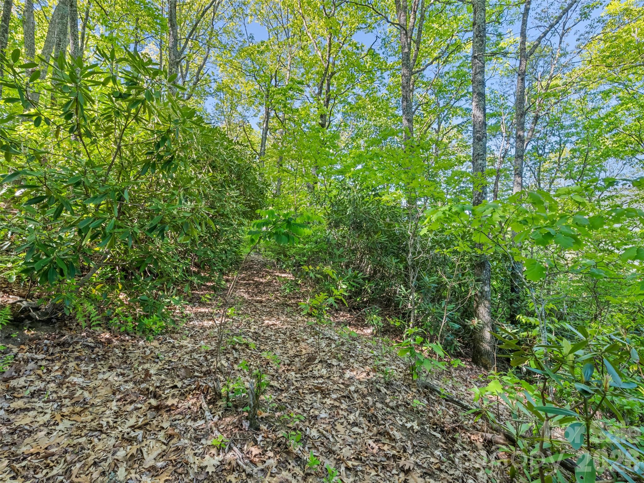 #19 Sleepy Hollow Lane Waynesville NC 28786