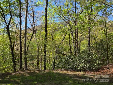 Lot 64 & 65 Walnut Lane Lake Lure NC 28746