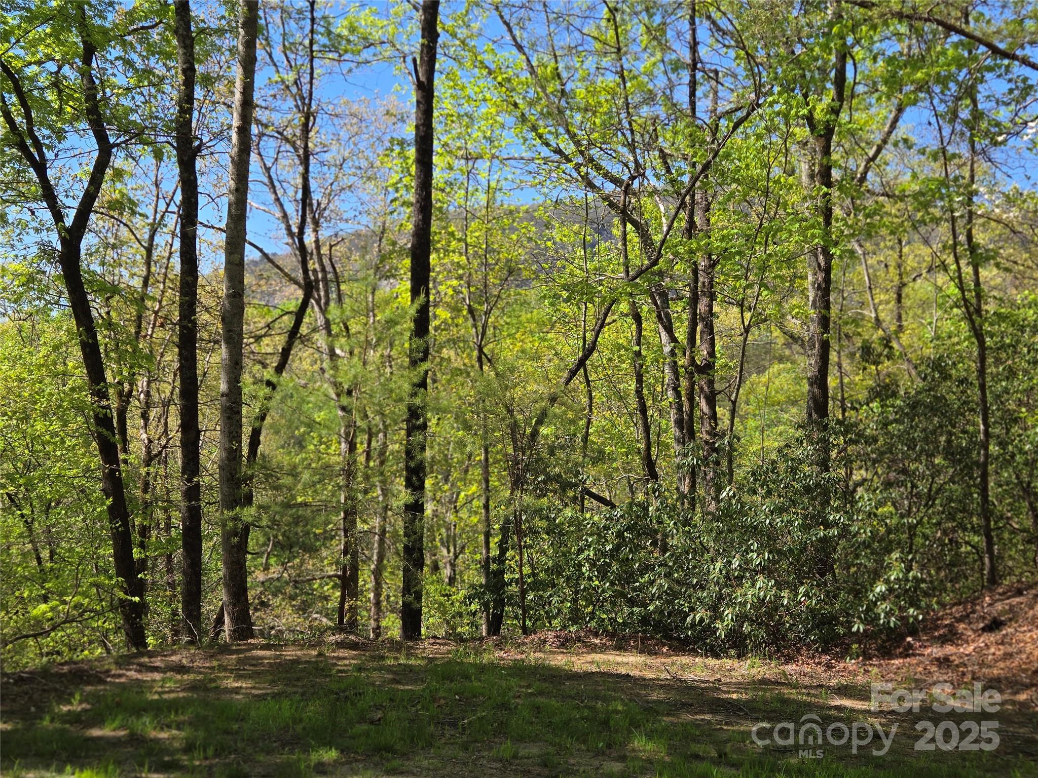 Lot 64 & 65 Walnut Lane Lake Lure NC 28746