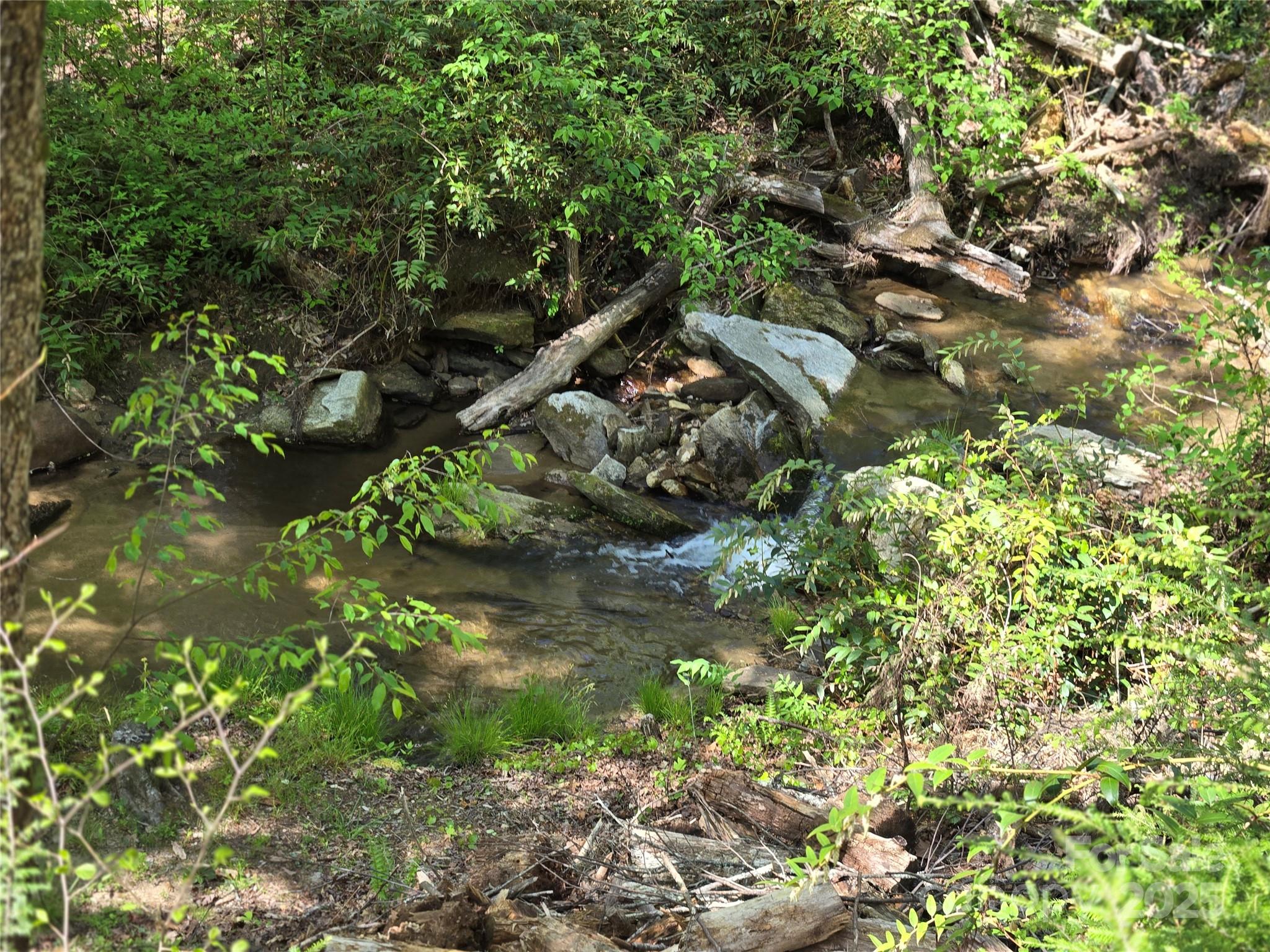 Lot 64 & 65 Walnut Lane Lake Lure NC 28746